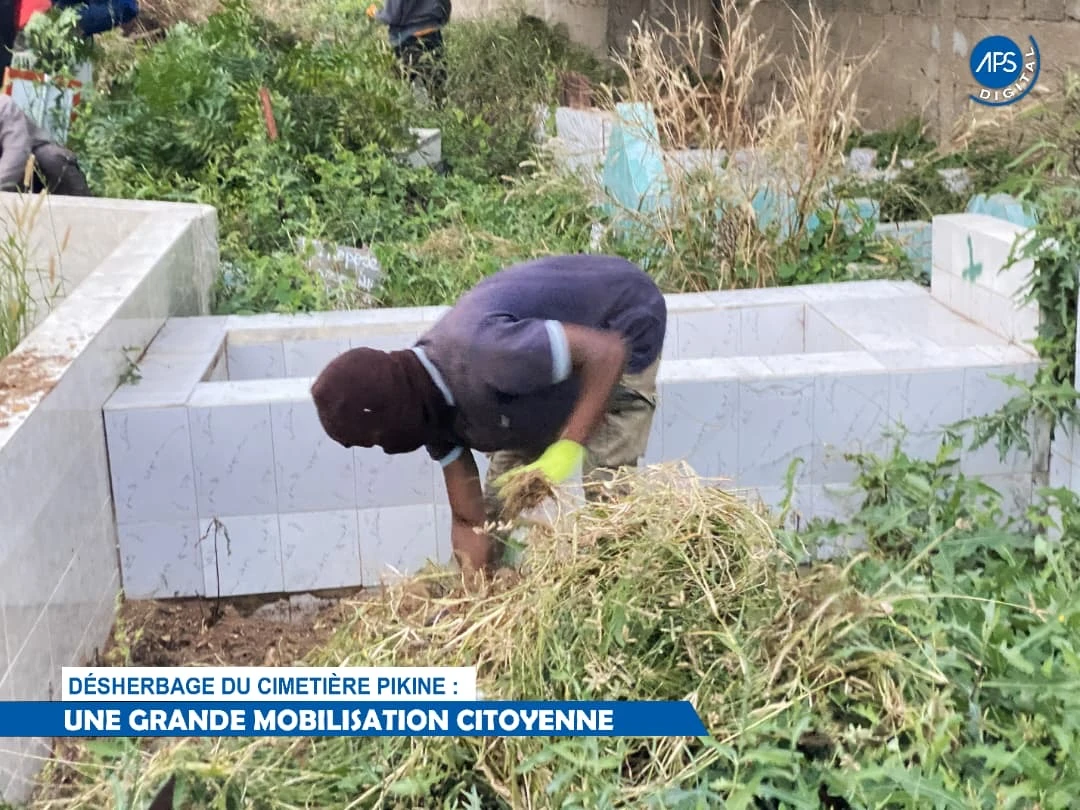 Désherbage du cimetière Pikine : une grande mobilisation citoyenne