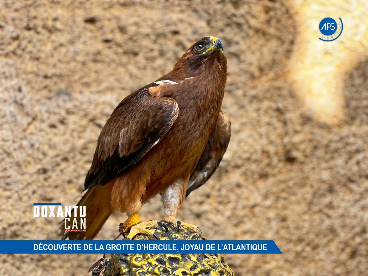 Doxantu CAN : Découverte de la Grotte d'Hercule, Joyau de l'Atlantique 