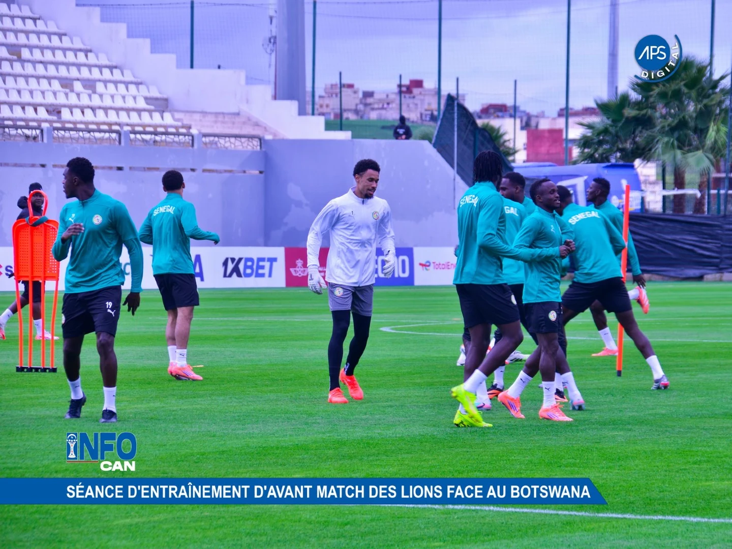 Info CAN : Séance d'entraînement d'avant match des Lions face au Botswana 