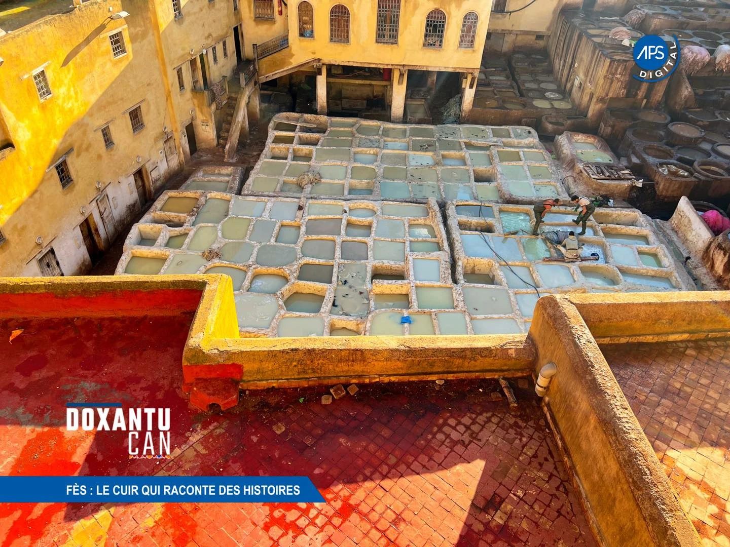 Fès : Le cuir qui raconte des histoires