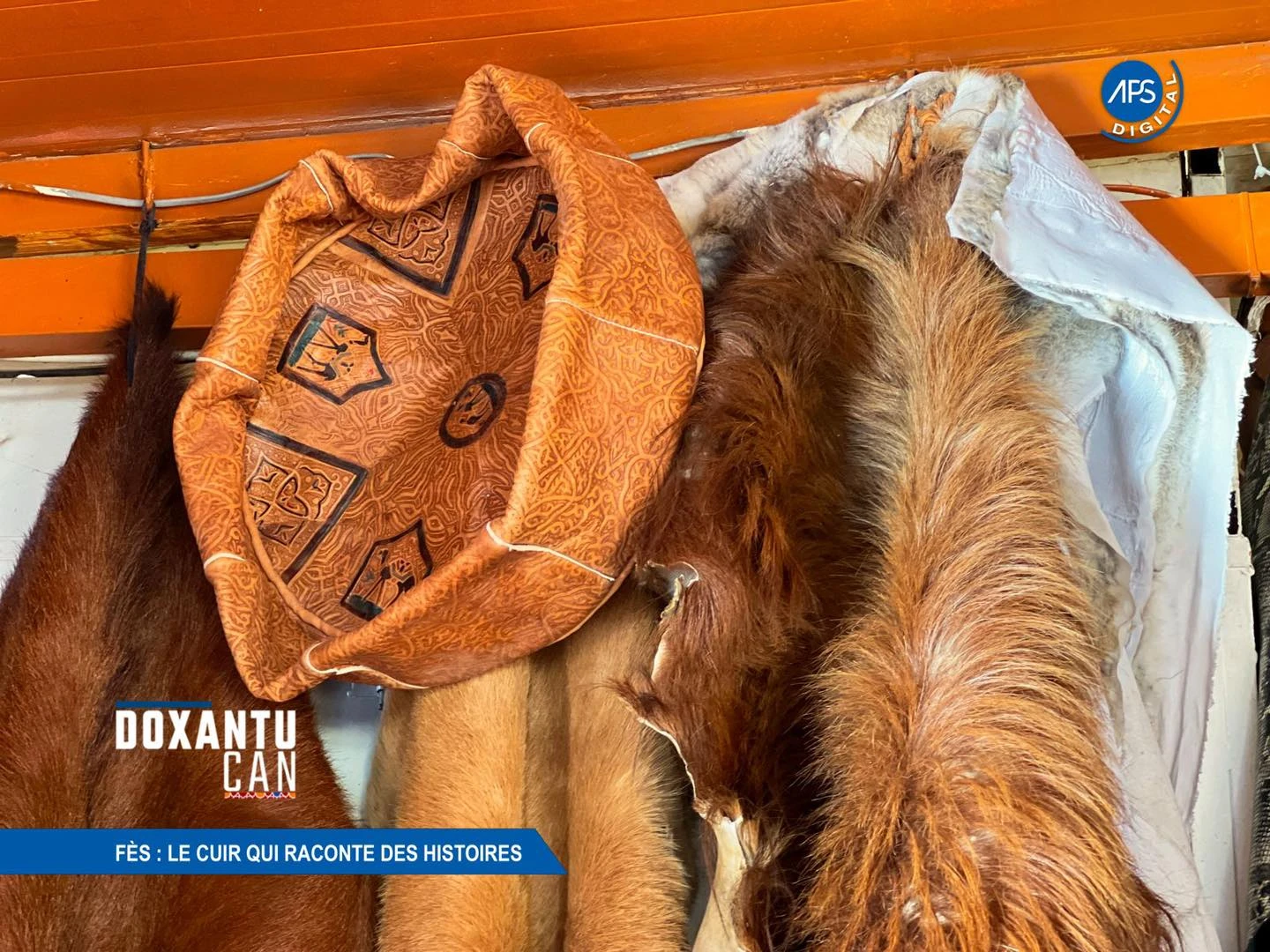 Fès : Le cuir qui raconte des histoires