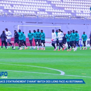 Info CAN : Séance d'entraînement d'avant match des Lions face au Botswana 