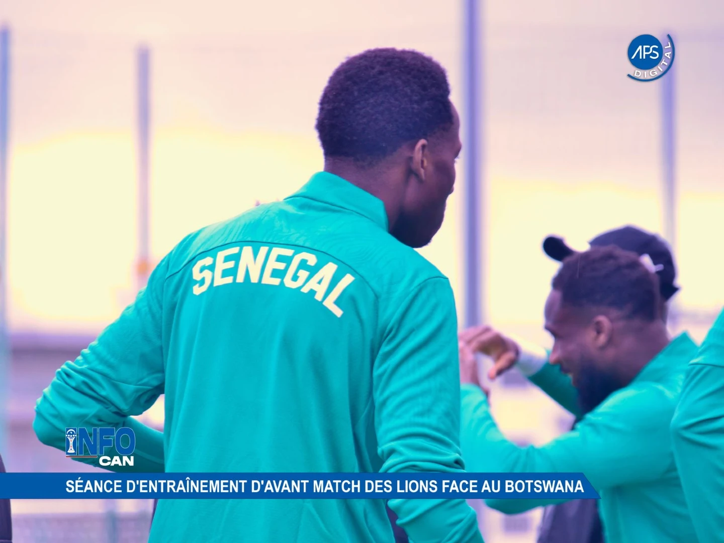 Info CAN : Séance d'entraînement d'avant match des Lions face au Botswana 