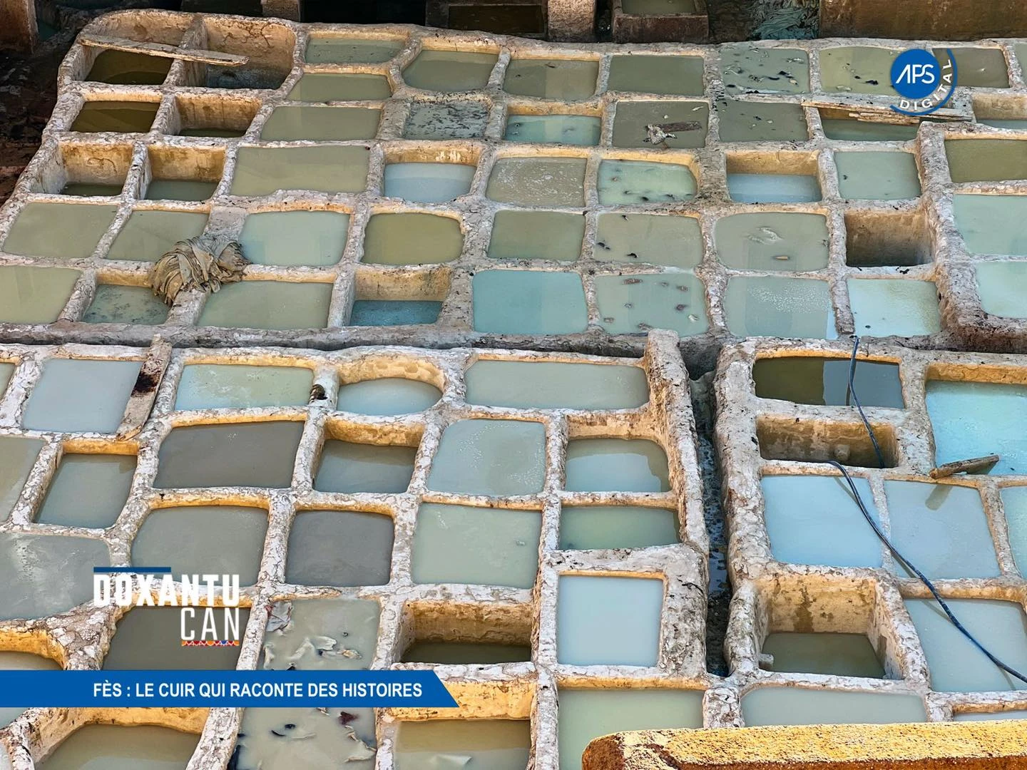 Fès : Le cuir qui raconte des histoires