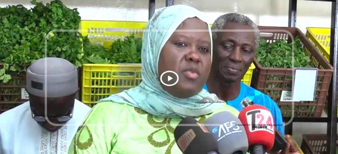 Thiès : la FENAB lance une initiative pour structurer la vente des produits biologiques certifiés