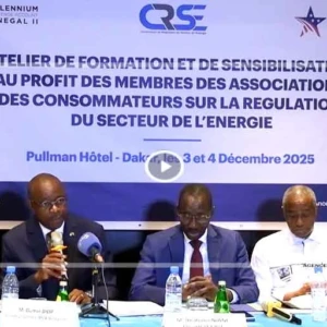 Les associations de consommateurs outillées sur la régulation du secteur de l’énergie