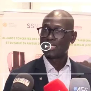 Thiès : Plus de 900 jeunes formés aux enjeux du climat et de la biodiversité