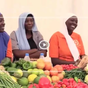 THIÈS : Le lycée technique accueille une foire d’innovation féminine