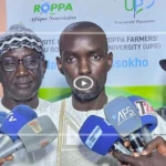 Souveraineté alimentaire : Modou Guéye Seck plaide pour un rôle central de l’agriculture familiale