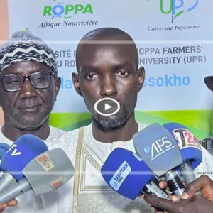 Souveraineté alimentaire : Modou Guéye Seck plaide pour un rôle central de l’agriculture familiale