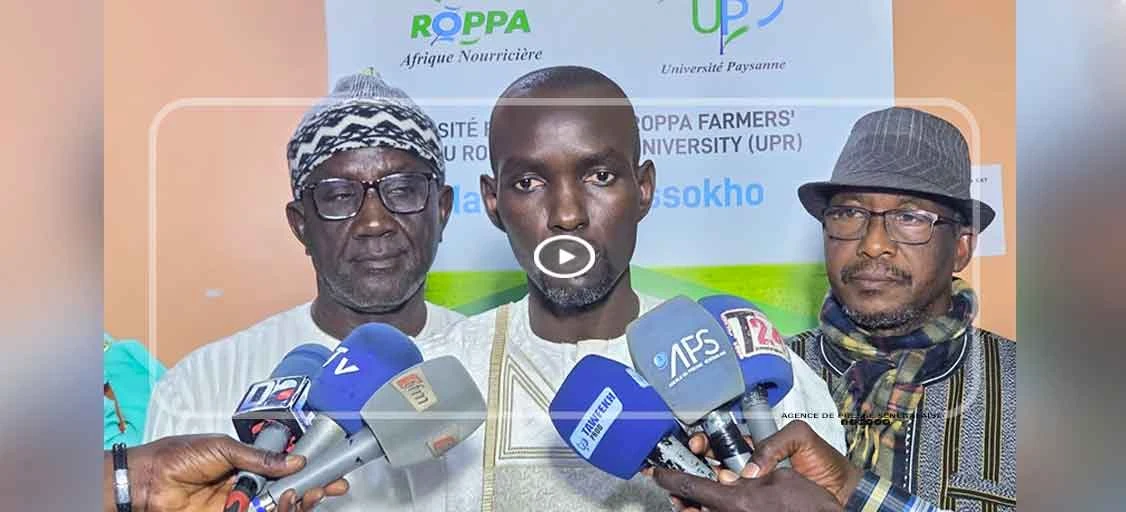 Souveraineté alimentaire : Modou Guéye Seck plaide pour un rôle central de l’agriculture familiale