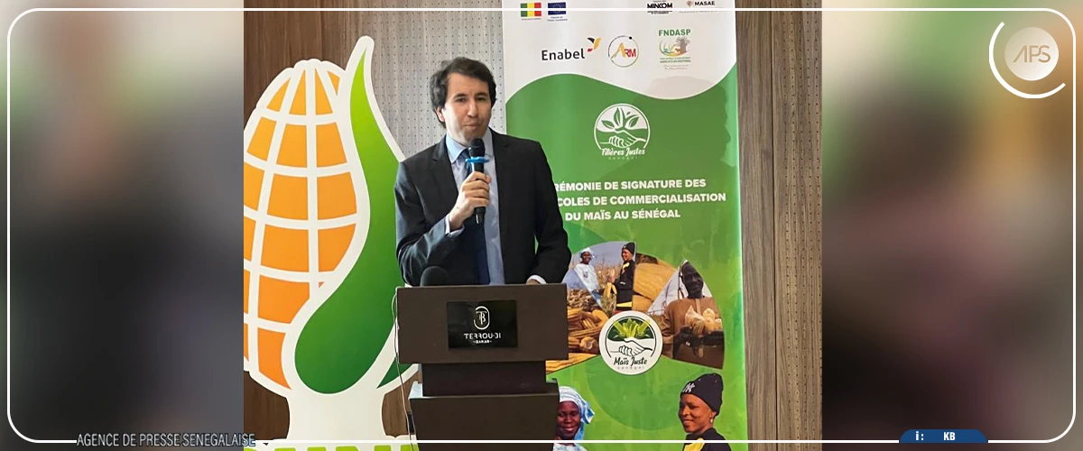 Filière maïs local : ENABEL réaffirme son appui en faveur d’une dynamique commerciale “juste et viable” (directeur pays)