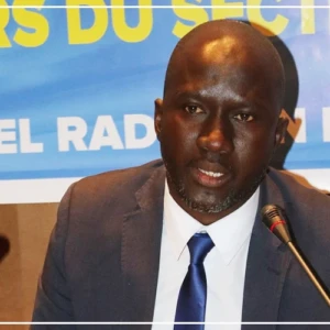 L'Etat veut pousser la diaspora à investir dans les secteurs générateurs d’emplois (officiel)