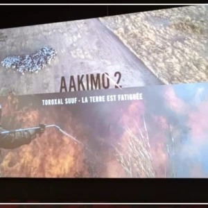 Un film documentaire alerte sur les conséquences environnementales du surpâturage