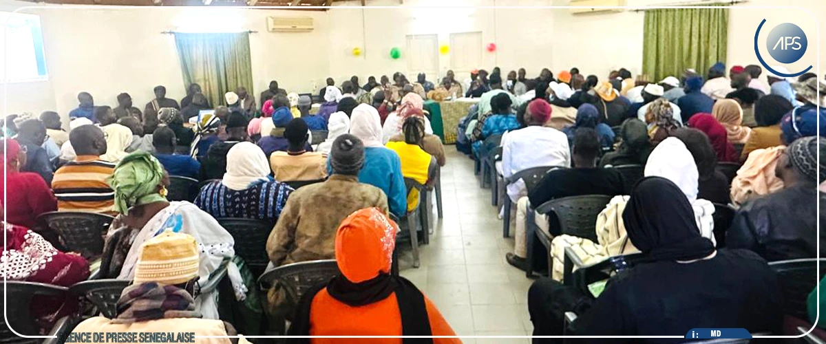 Riziculture : la SAED va emblaver 53 000 hectares pour la campagne de contre-saison