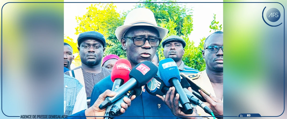 Riziculture : la SAED va emblaver 53 000 hectares pour la campagne de contre-saison