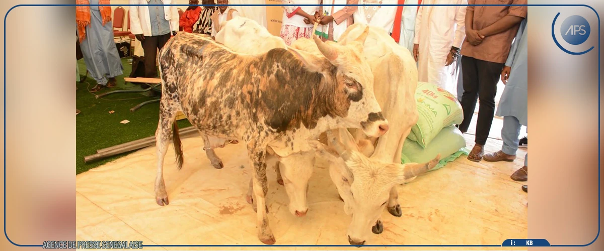 Un lots d’équipements et d’intrants agricoles remis à des jeunes de la région de Louga