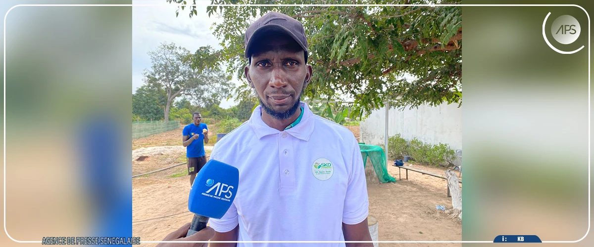 Quatre-vingt-dix fermes aquacoles recensées dans la région de Ziguinchor, réputée propice à l’aquaculture