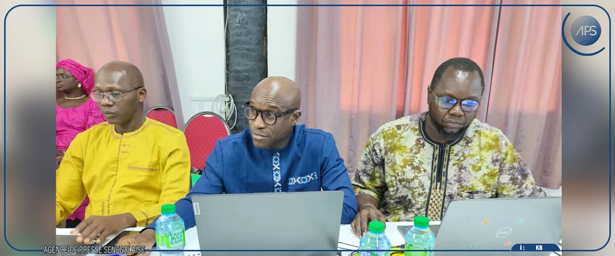 Le Plan Diomaye pour la Casamance exécuté à 46 % (DG ANRAC)