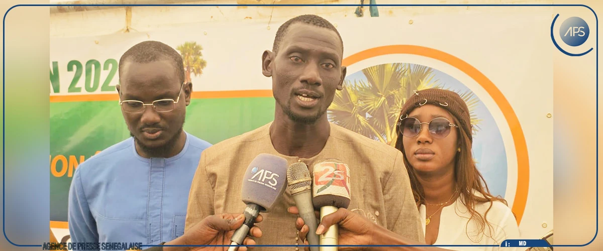 Fandène : appel à protéger le rônier, un arbre à multiples usages