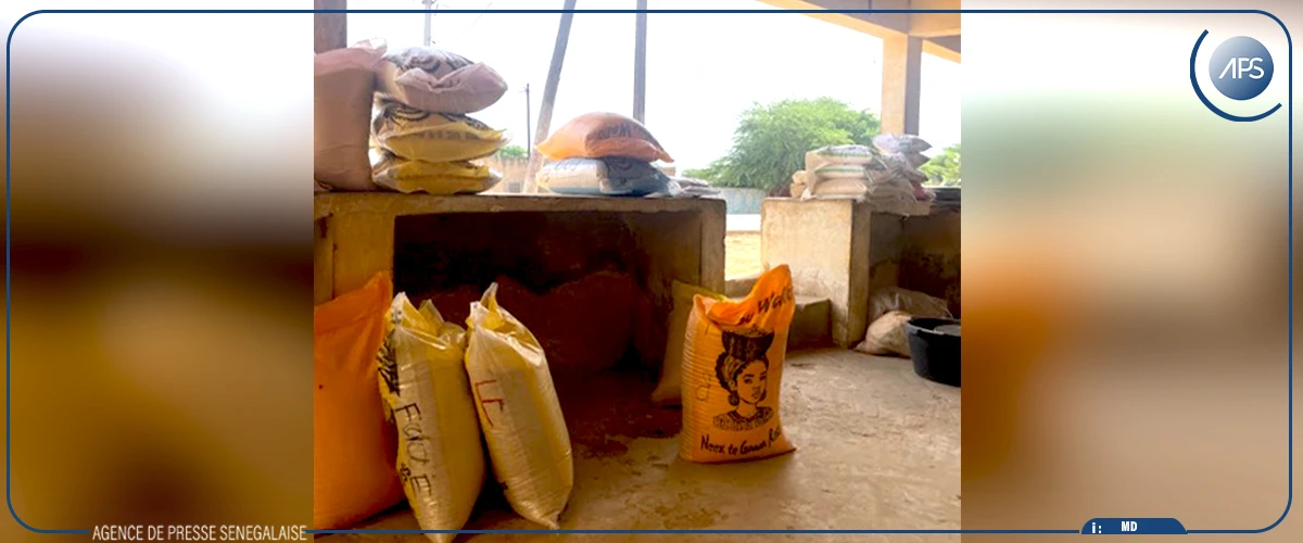 Production de riz : les femmes au cœur du RIZAO