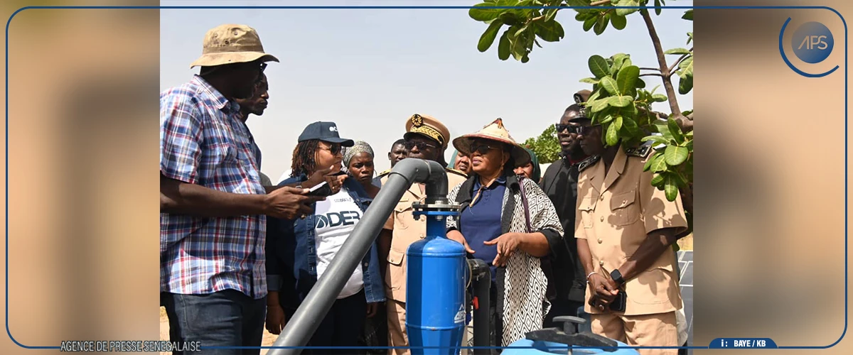 Projet ”Bay Sa Waar Ci Sénégal” : deux fermes agricoles pilotes intégrées en cours de réalisation à Kaolack