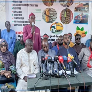 Touba: des acteurs de la filière arachidière demandent la suppression de la taxe à l’exportation