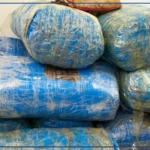 Fatick : 217 kilos de chanvre indien saisis à Dioffior (Douanes)