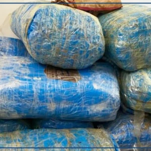 Fatick : 217 kilos de chanvre indien saisis à Dioffior (Douanes)