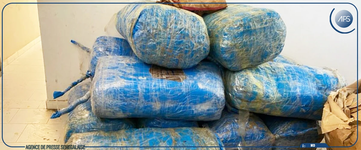 Fatick : 217 kilos de chanvre indien saisis à Dioffior (Douanes)