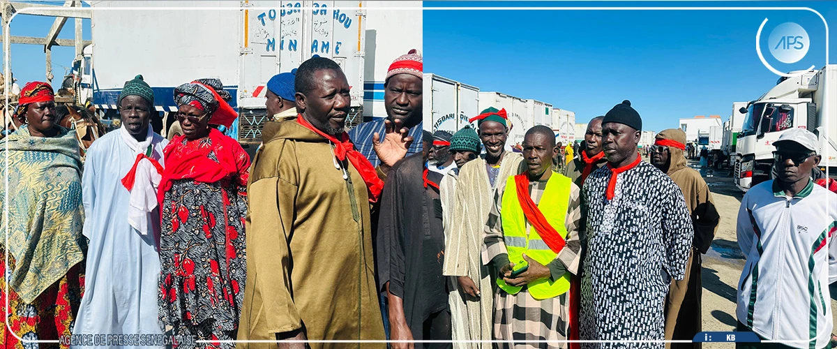 L’État invité à venir au secours des pêcheurs de la Langue de Barbarie établis en Mauritanie