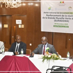 Un projet régional ambitionne de restaurer 80 000 hectares de terres au Sénégal