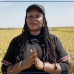 Production de riz : les femmes au cœur du RIZAO