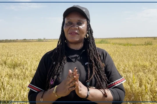 Production de riz : les femmes au cœur du RIZAO