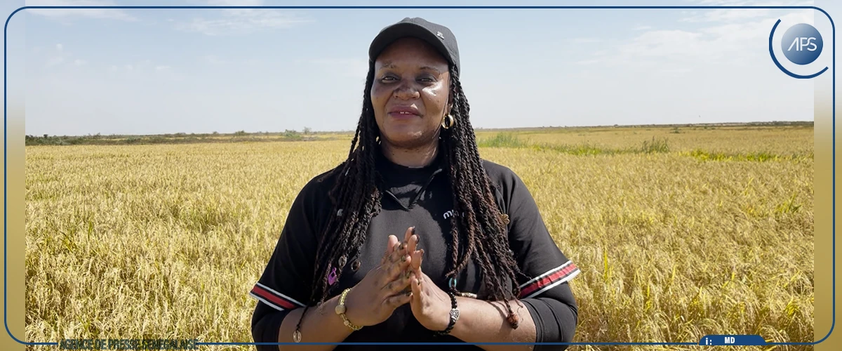 Production de riz : les femmes au cœur du RIZAO