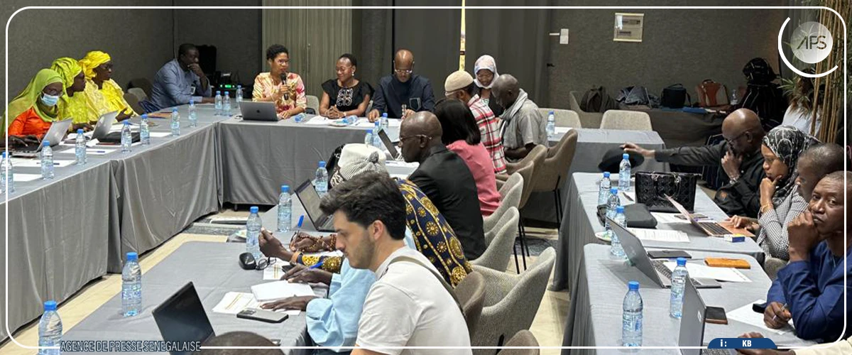 Filière mil :  une étude révèle de ''nouvelles opportunités'' d’approvisionnement local