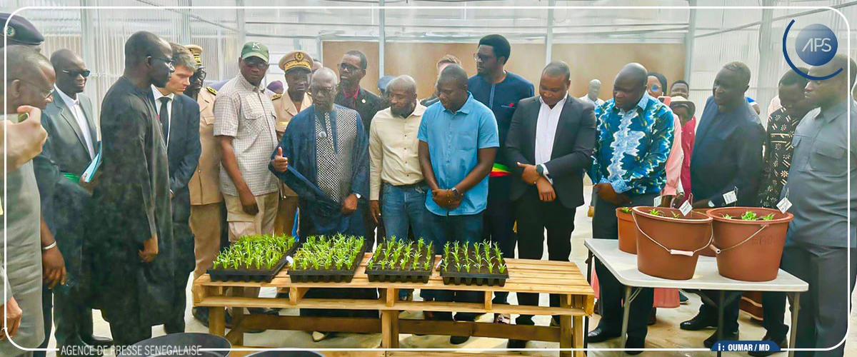 Mabouba Diagne inaugure une serre de phytopathologie et d’amélioration des cultures à Bambey
