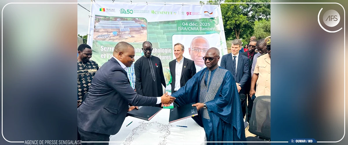 Mabouba Diagne inaugure une serre de phytopathologie et d’amélioration des cultures à Bambey