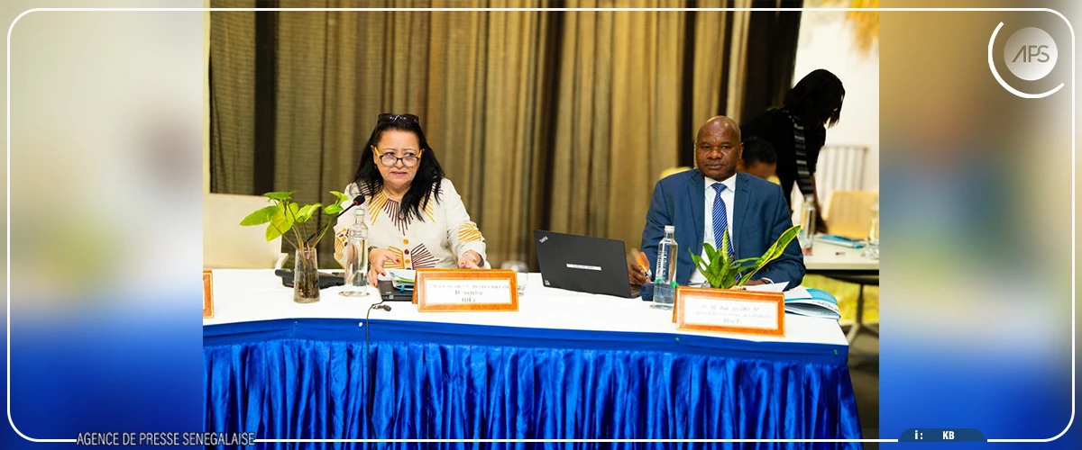 Территориализация государственной политики, стратегический императив Vision Senegal 2050 (директор)