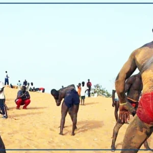 Présidence de la Fédération sénégalaise de lutte : une liste provisoire de 11 candidats publiée