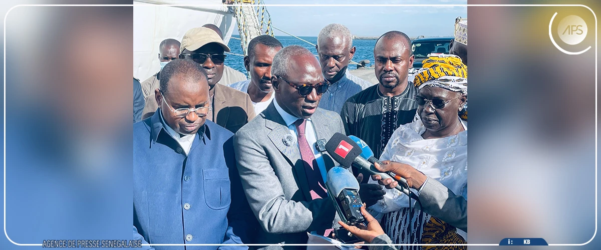 Mabouba Diagne réceptionne une cargaison de 1 050 bovins Guzerá et Girolando