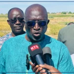 À Ndiol, une mission de l'ISRA en visite sur des parcelles expérimentales de riz