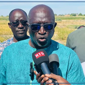 À Ndiol, une mission de l'ISRA en visite sur des parcelles expérimentales de riz