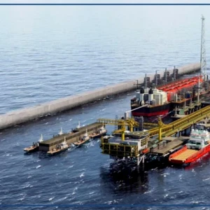 Saint-Louis : immersion d'un récif artificiel au large des côtes pour préserver la biodiversité marine