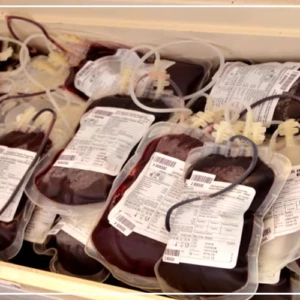 Kaffrine : trente poches de sang collectées par une association citoyenne