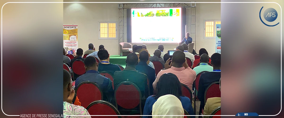 Des neurochirurgiens appellent à combler le déficit de spécialistes et d’infrastructures