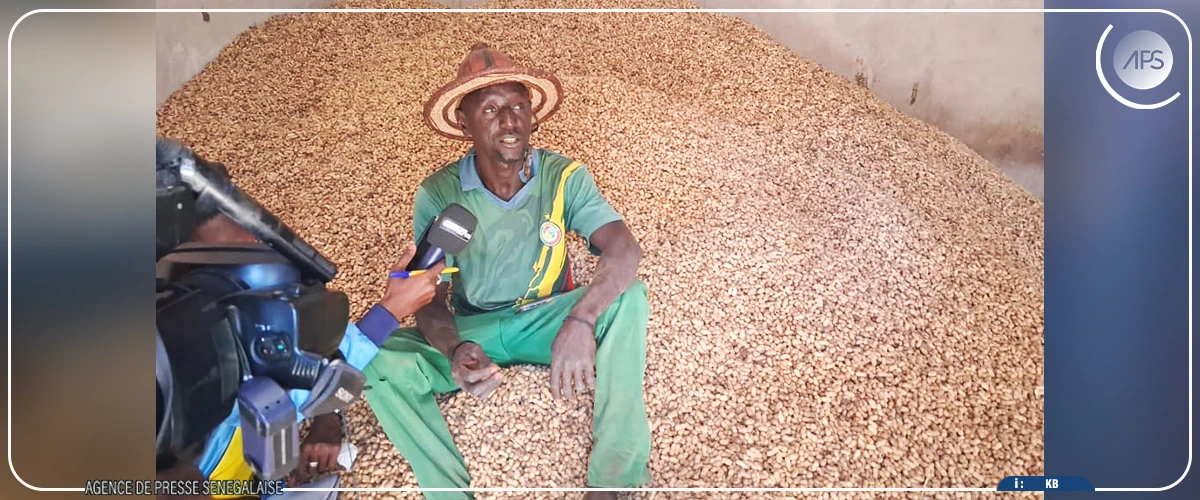 Fatick : de bonnes récoltes enregistrées grâce aux engrais biofertilisants (acteur)