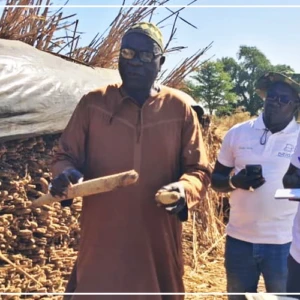 Fatick : de bonnes récoltes enregistrées grâce aux engrais biofertilisants (acteur)