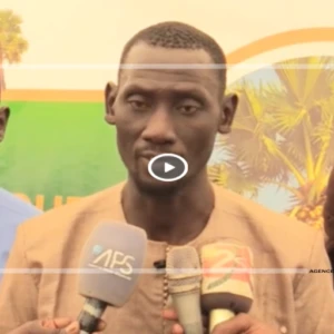 RÔNIER EN DANGER : Un artisan interpelle les autorités pour une protection urgente