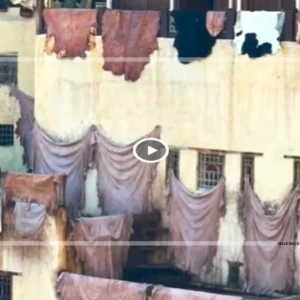 Fès : Là où le cuir façonne des vies